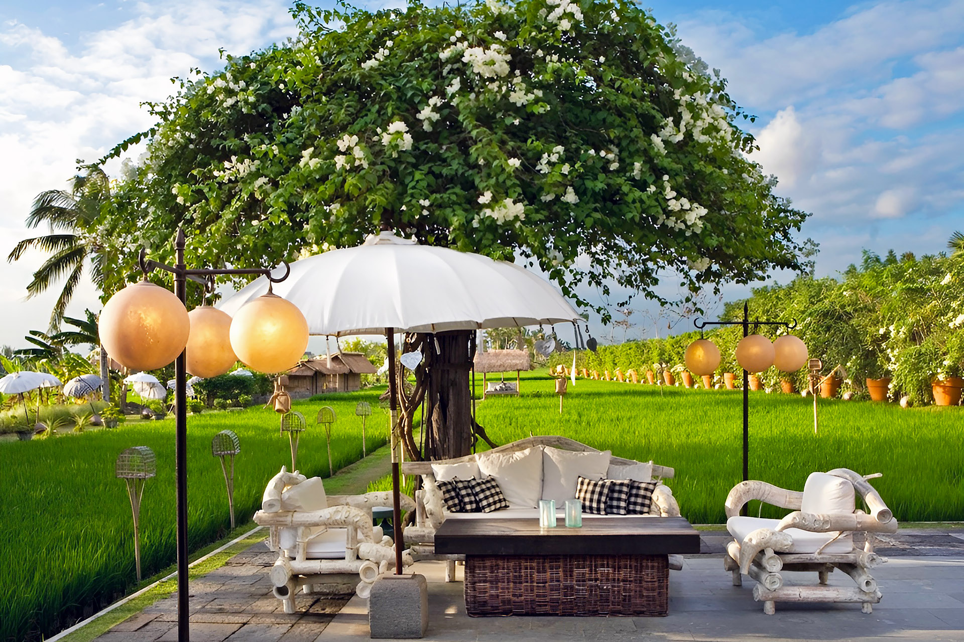Sardine - Best Luxury Restaurant in Seminyak with Rice Field View