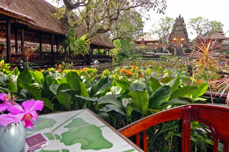 From Coast to Canopy: A Joyful Ubud Day Trip from Seminyak