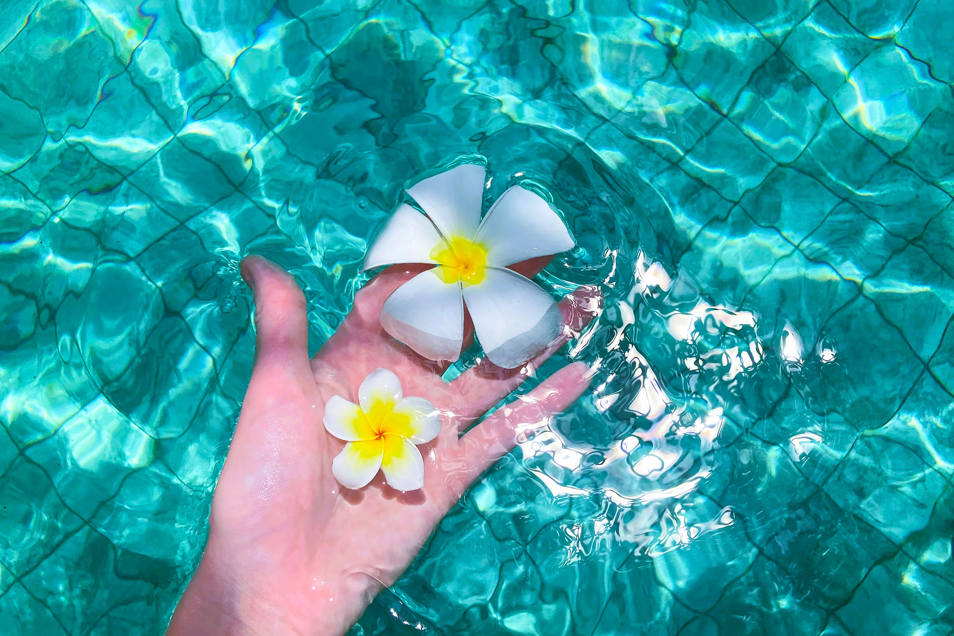 Seminyak vs Canggu for Luxury Villa Holiday Experience in Bali